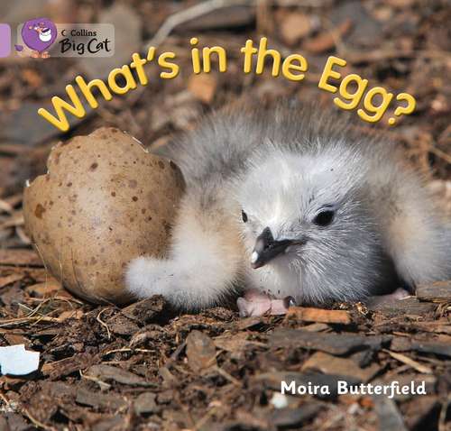 Book cover of Collins Big Cat, Lilac, Band 0: What's in the Egg? (PDF)
