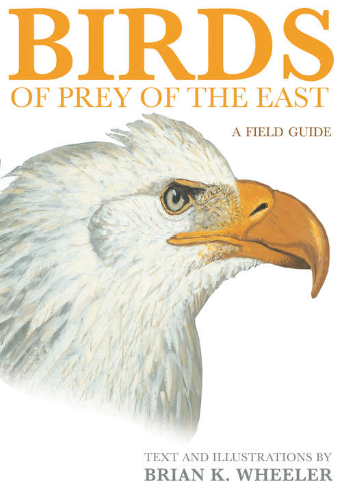 Book cover of Birds of Prey of the East: A Field Guide
