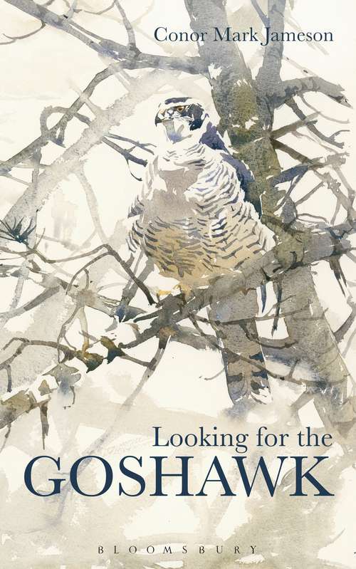 Book cover of Looking for the Goshawk (Bloomsbury Nature Writing Ser.)