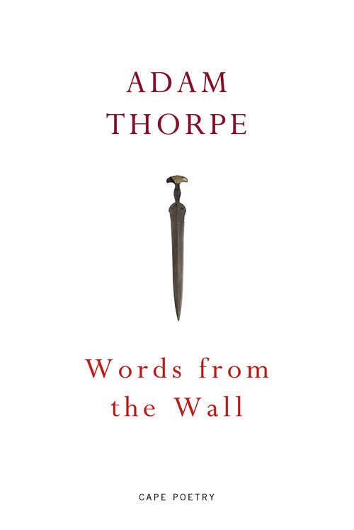 Book cover of Words From the Wall