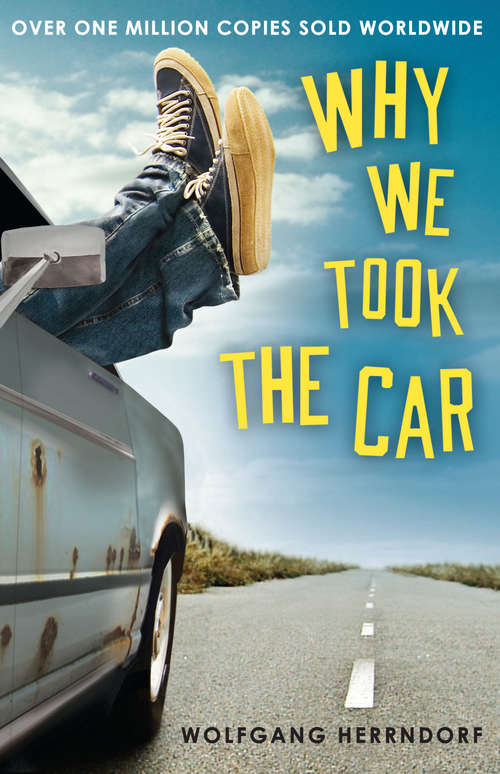 Book cover of Why We Took the Car
