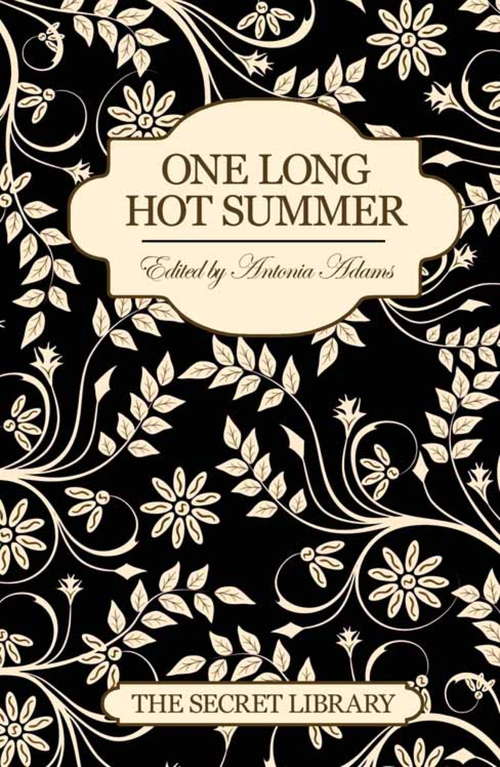 Book cover of One Long Hot Summer: One Long Hot Summer (The\secret Library: Vol 3)