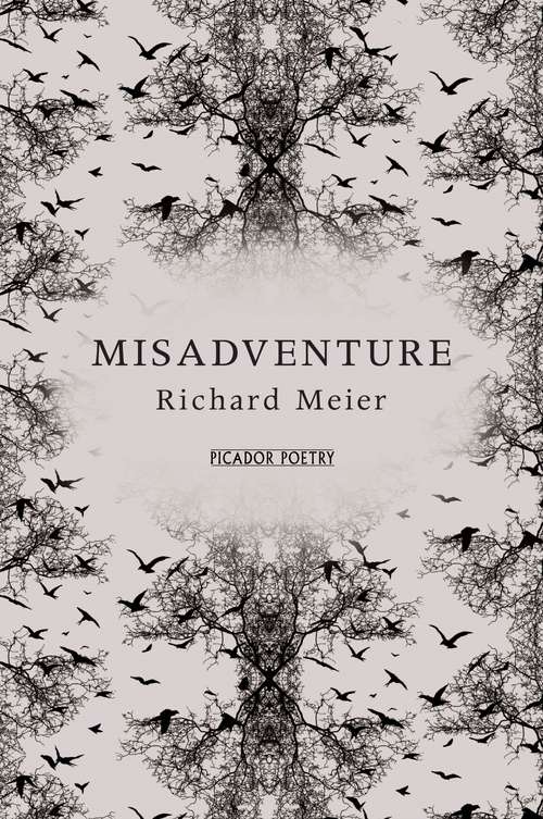 Book cover of Misadventure