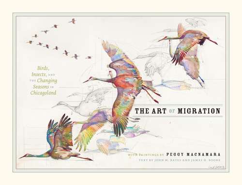 Book cover of The Art of Migration: Birds, Insects, and the Changing Seasons in Chicagoland