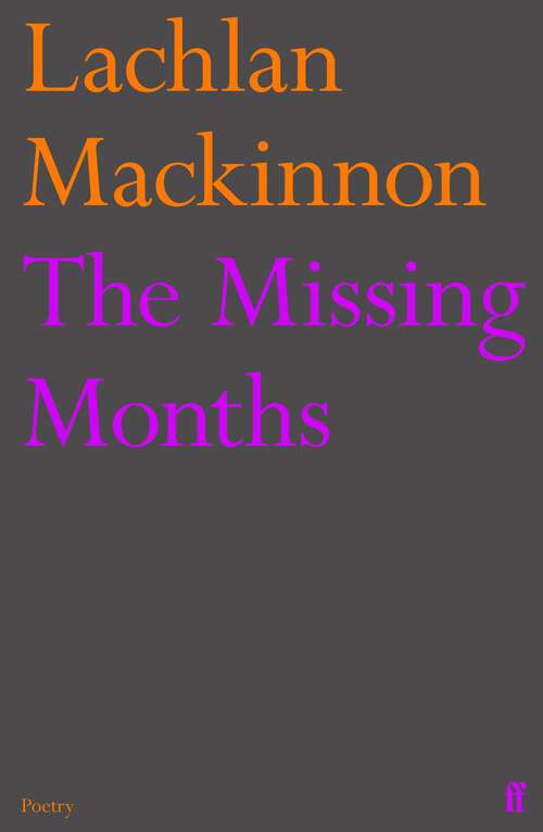 Book cover of The Missing Months (Main)