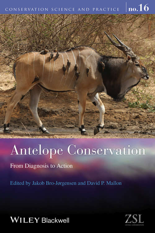 Book cover of Antelope Conservation: From Diagnosis to Action (Conservation Science and Practice)