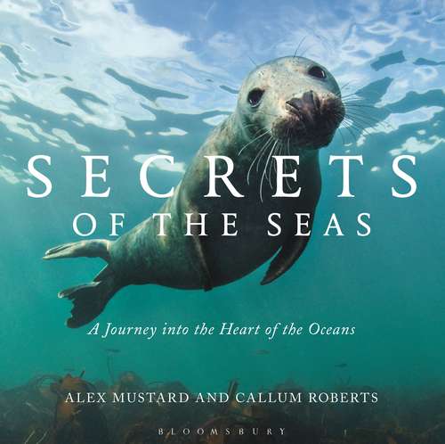 Book cover of Secrets of the Seas: A Journey into the Heart of the Oceans