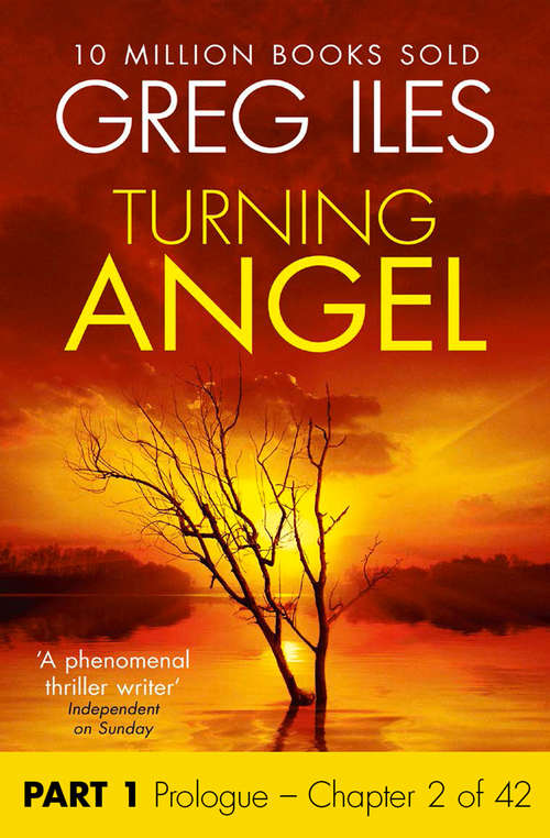 Book cover of Turning Angel: Part 1, Prologue to Chapter 2 inclusive (ePub edition)