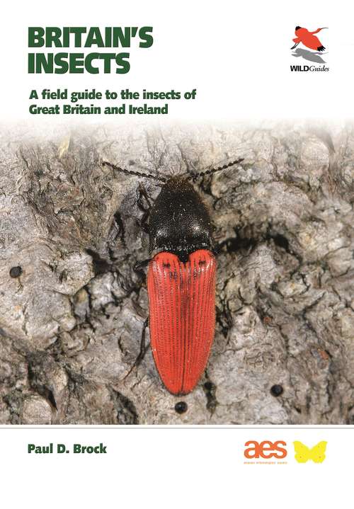 Book cover of Britain's Insects: A Field Guide to the Insects of Great Britain and Ireland (WILDGuides #78)
