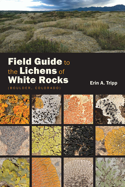 Book cover of Field Guide to the Lichens of White Rocks: (Boulder, Colorado)