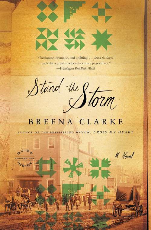 Book cover of Stand the Storm: A Novel