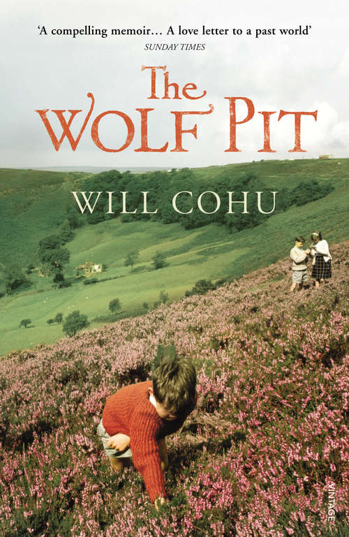 Book cover of The Wolf Pit: A Moorland Romance