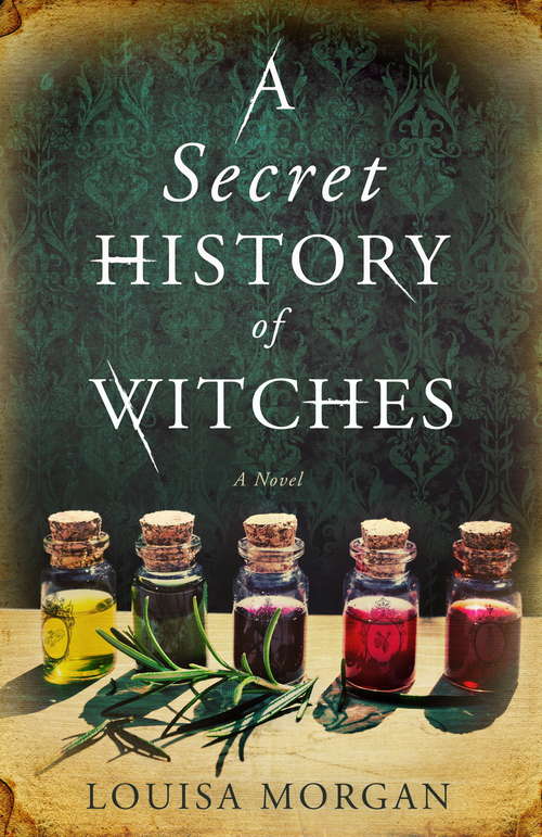 Book cover of A Secret History of Witches: A Novel