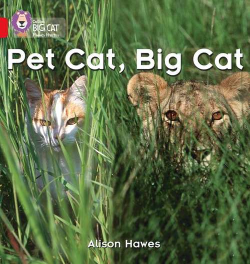 Book cover of Pet Cat, Big Cat: Band 02a/Red A (Collins Big Cat Phonics Ser.) (PDF)