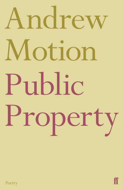 Book cover of Public Property (Main)