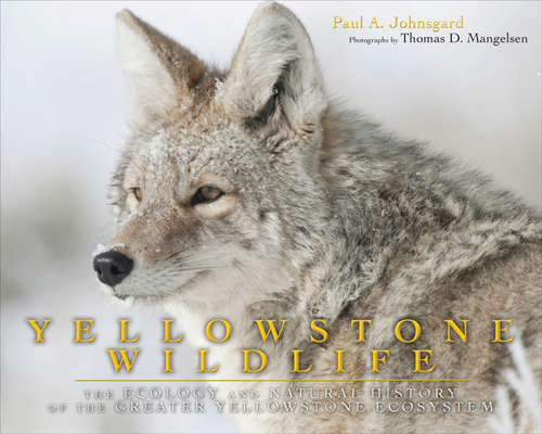 Book cover of Yellowstone Wildlife: Ecology and Natural History of the Greater Yellowstone Ecosystem