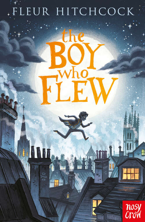 Book cover of The Boy Who Flew