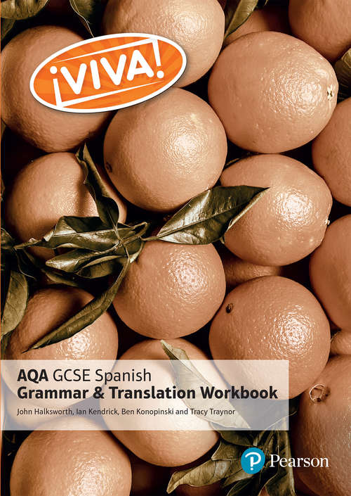 Book cover of Viva! Aqa Gcse Spanish Grammar And Translation Workbook (Viva! AQA GCSE Spanish)