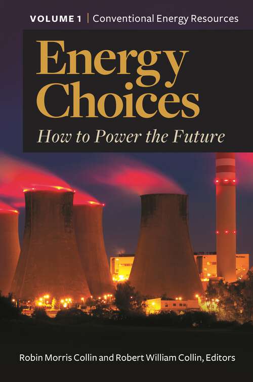 Book cover of Energy Choices [2 volumes]: How to Power the Future [2 volumes]