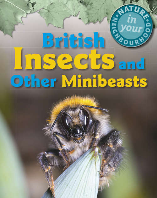 Book cover of British Insects and other Minibeasts (Nature in Your Neighbourhood #1)
