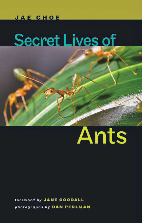 Book cover of Secret Lives of Ants