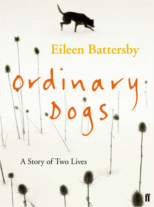 Book cover of Ordinary Dogs (Main)