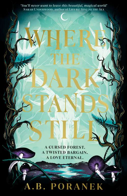 Book cover of Where the Dark Stands Still