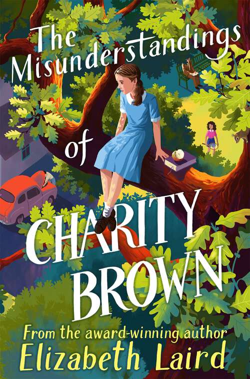 Book cover of The Misunderstandings of Charity Brown