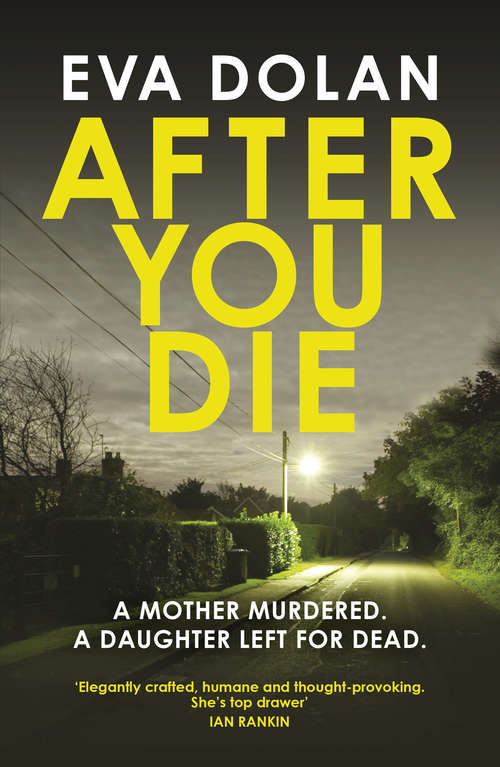 Book cover of After You Die (DI Zigic & DS Ferreira #3)