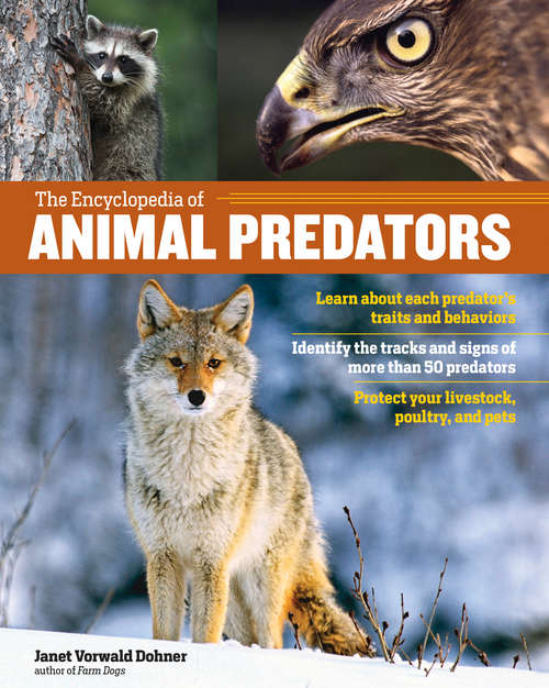 Book cover of The Encyclopedia of Animal Predators: Learn about Each Predator’s Traits and Behaviors; Identify the Tracks and Signs of More Than 50 Predators; Protect Your Livestock, Poultry, and Pets