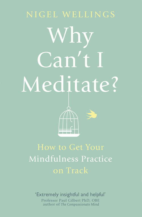 Book cover of Why Can't I Meditate?: how to get your mindfulness practice on track