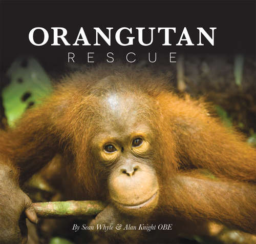 Book cover of Orangutan Rescue: Saving Borneo's Orangutans