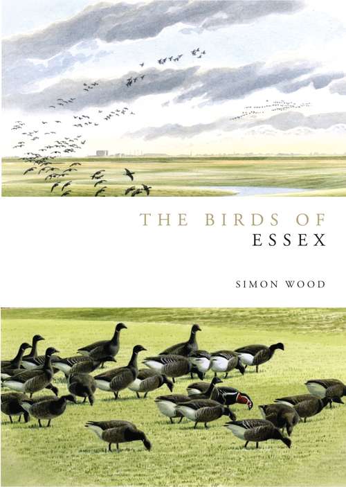 Book cover of Birds of Essex (Helm County Avifauna)