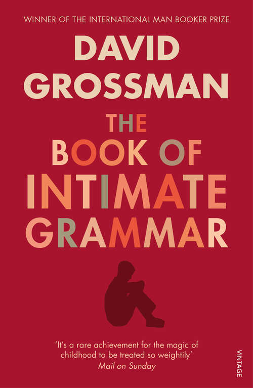 Book cover of The Book Of Intimate Grammar: A Novel