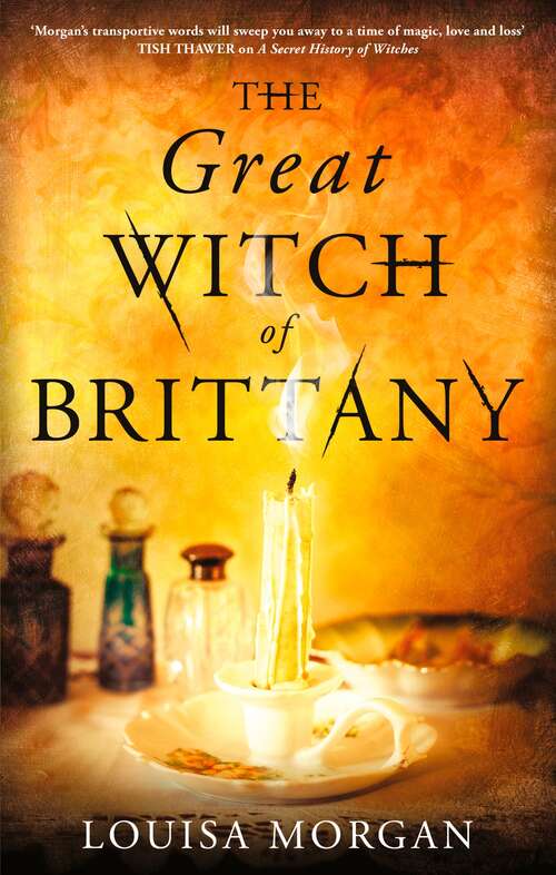 Book cover of The Great Witch of Brittany