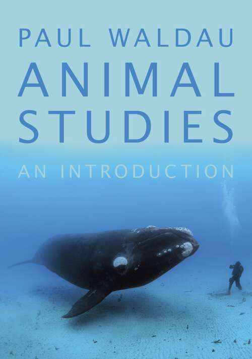 Book cover of Animal Studies: An Introduction
