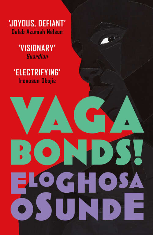 Book cover of Vagabonds!