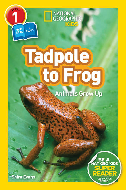 Book cover of National Geographic Kids Readers: Tadpole to Frog (ePub edition) (Readers)