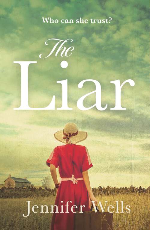 Book cover of The Liar: A gripping story of dangerous obsession