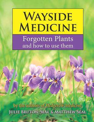 Book cover of Wayside Medicine: Forgotten Plants and how to use them
