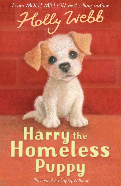 Book cover of Harry the Homeless Puppy: Timmy In Trouble, Buttons The Runaway Puppy, Harry The Homeless Puppy (Holly Webb Animal Stories #9)