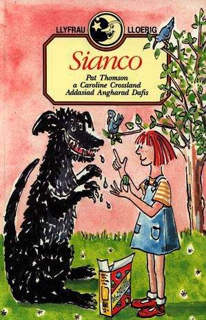 Book cover of Sianco (Llyfrau Lloerig)