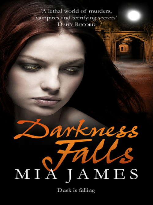 Book cover of Darkness Falls: A Ravenwood Novel