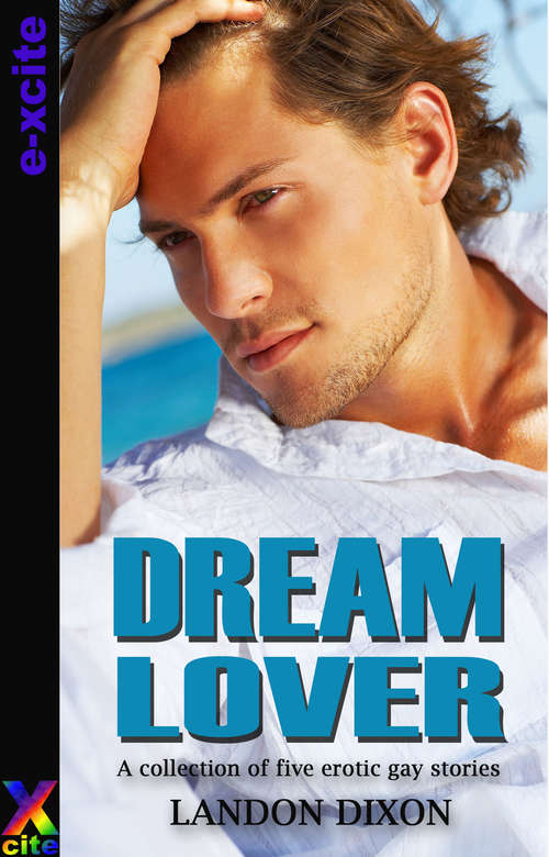 Book cover of Dream Lover: A collection of five gay erotic short stories (Hot Tales of Gay Lust #5)