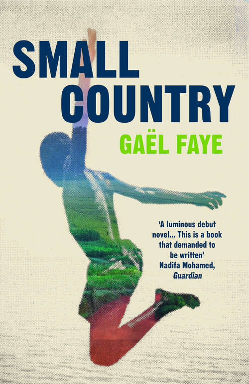 Book cover of Small Country: A Novel