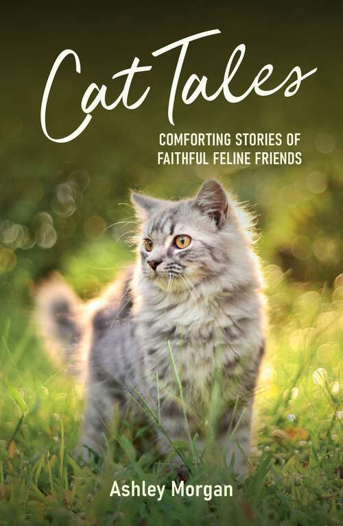 Book cover of Cat Tales: Comforting Stories of Faithful Feline Friends