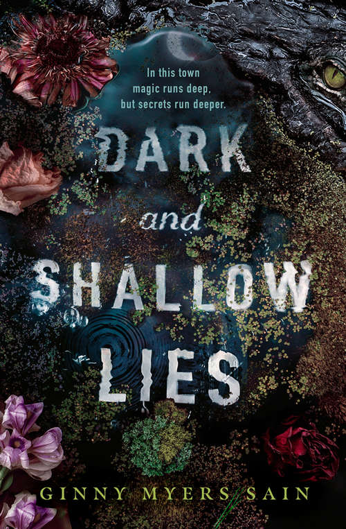 Book cover of Dark and Shallow Lies