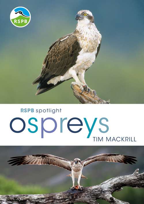 Book cover of RSPB Spotlight Osprey