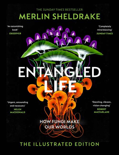 Book cover of Entangled Life (The Illustrated Edition): A beautiful new gift edition featuring 100 illustrations for Christmas 2023
