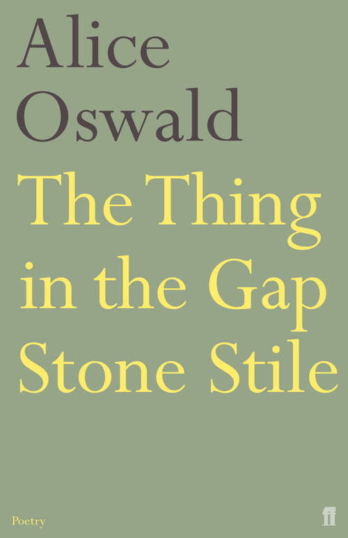 Book cover of The Thing in the Gap Stone Stile (Main) (Oxford Poets Ser.)